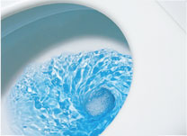 toilet bleach Toilet Bleach